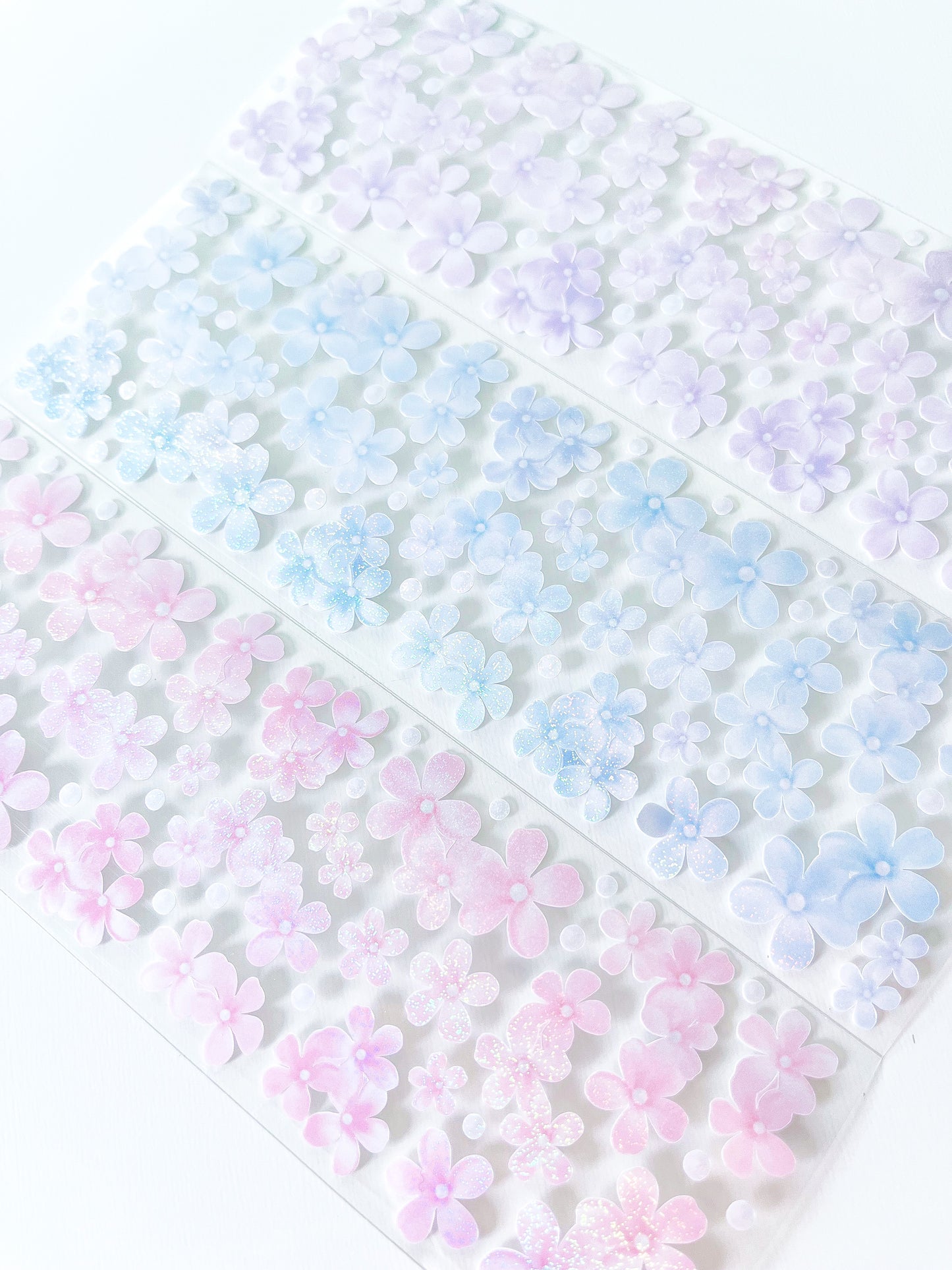 Flowers in Bloom (Daylight) : Forget Me Not Collection