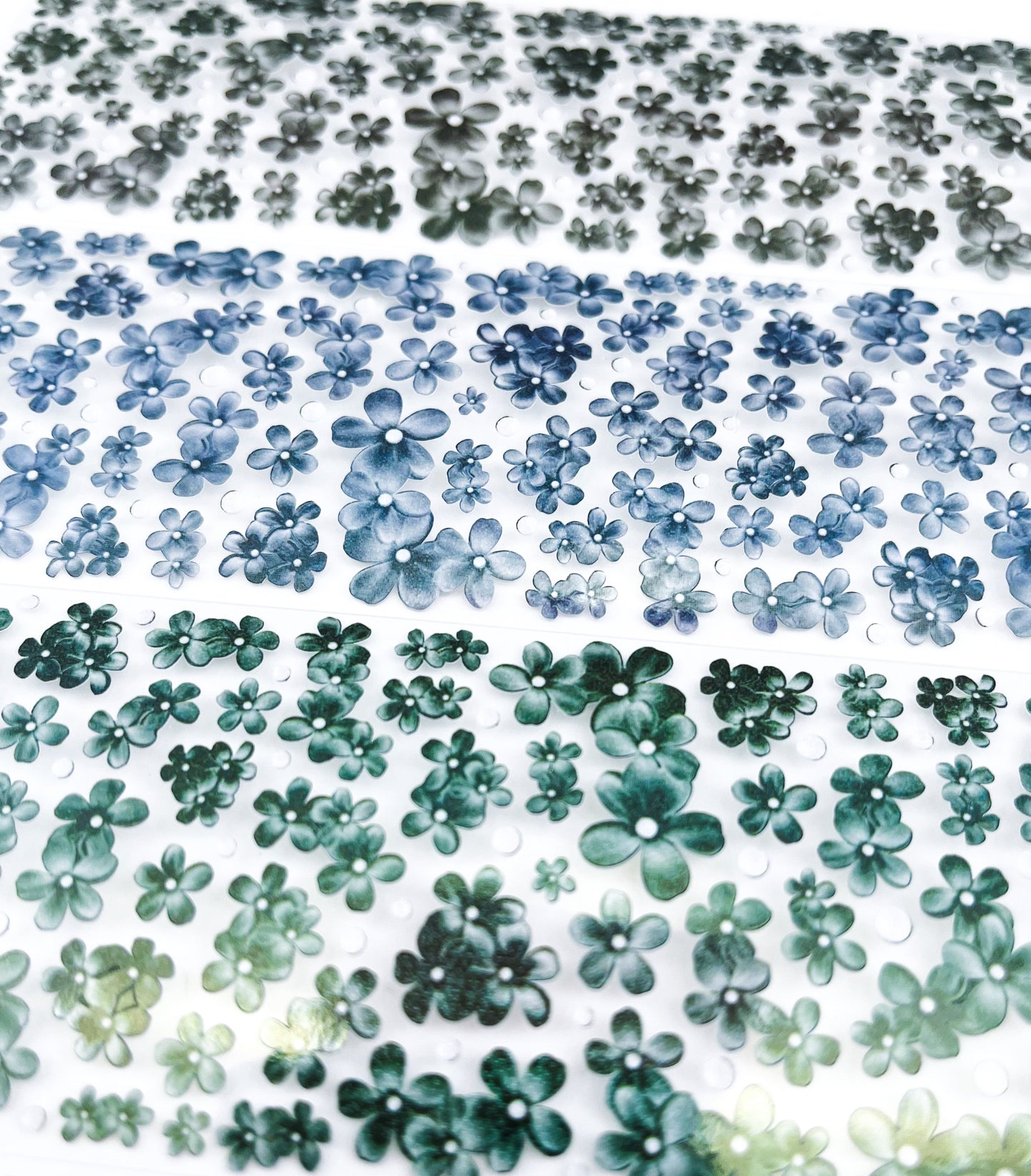 borahstudio Dark Mini Flowers In Bloom - Forget Me Not Collection