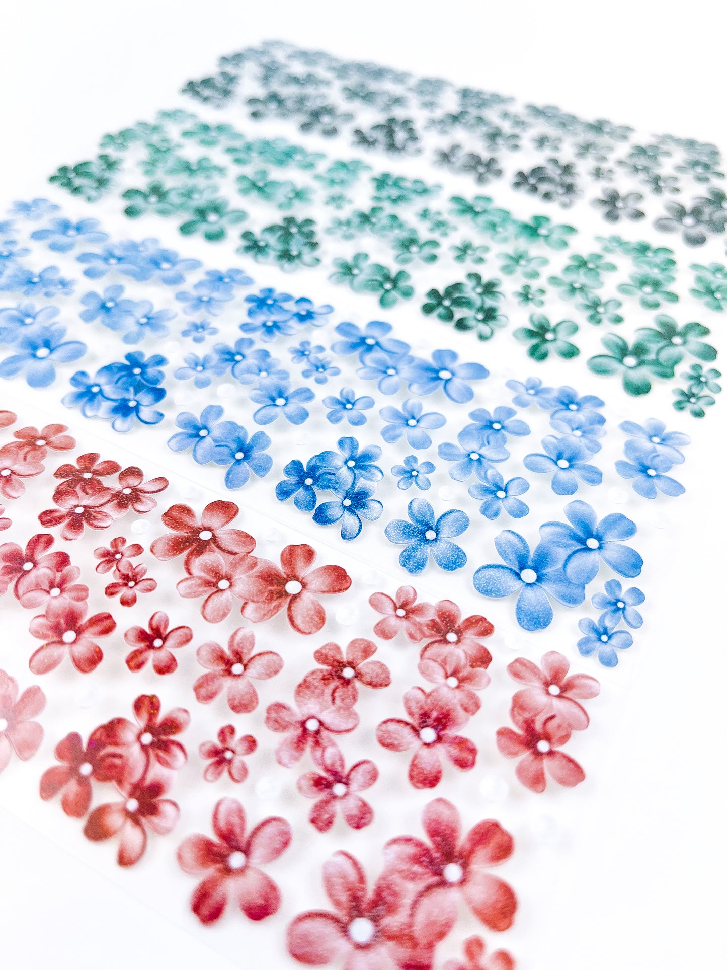 Flowers in Bloom (Moonlight) : Forget Me Not Collection