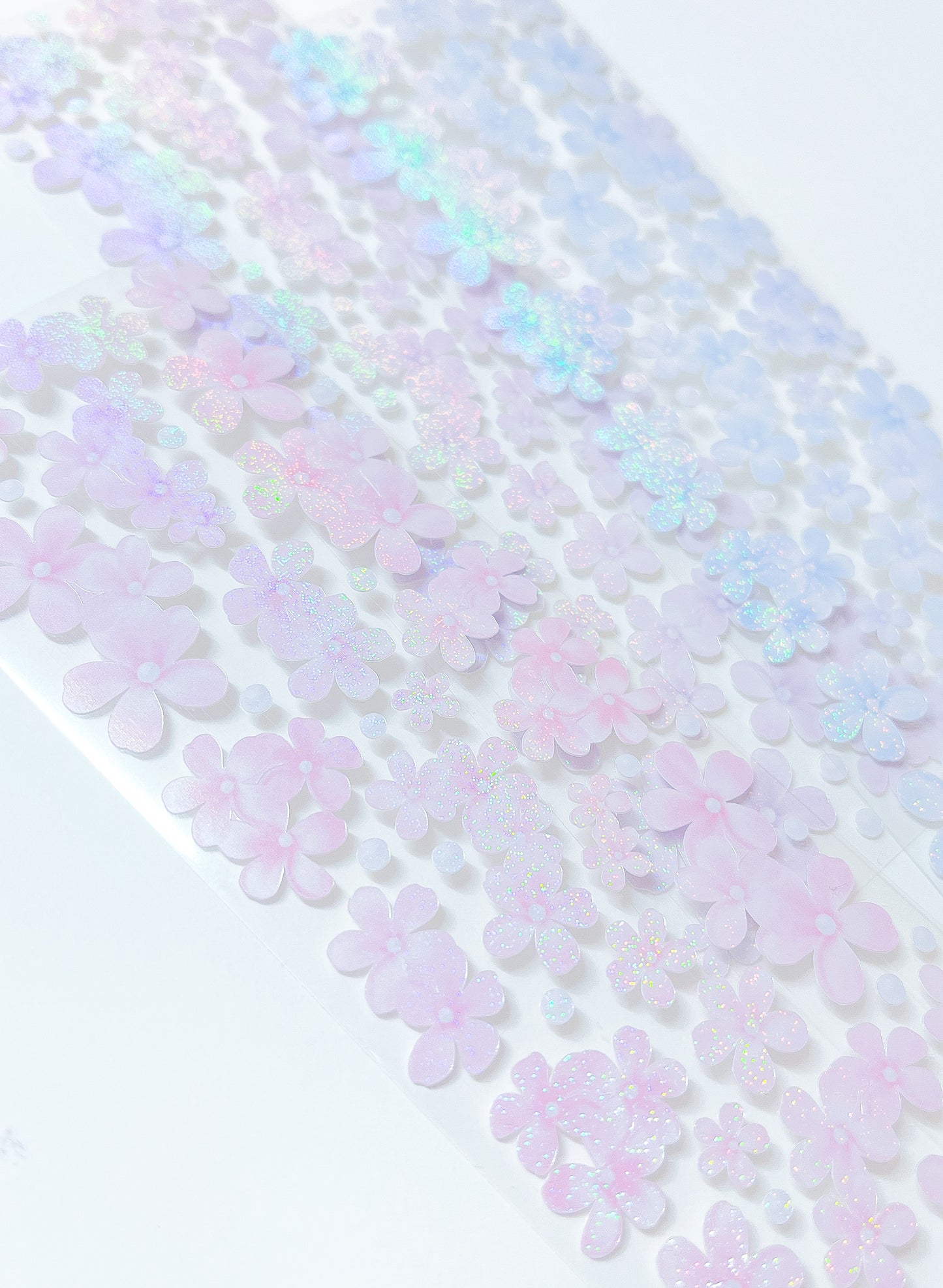 Flowers in Bloom (Daylight) : Forget Me Not Collection